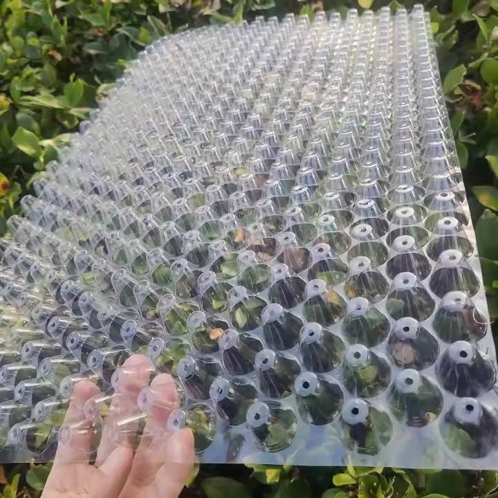 Durable Biodegradable Reusable Lightweight Pvc Rectangle Multi-Purpose Hydroponics Germination Tray Drainage Holes Breathable