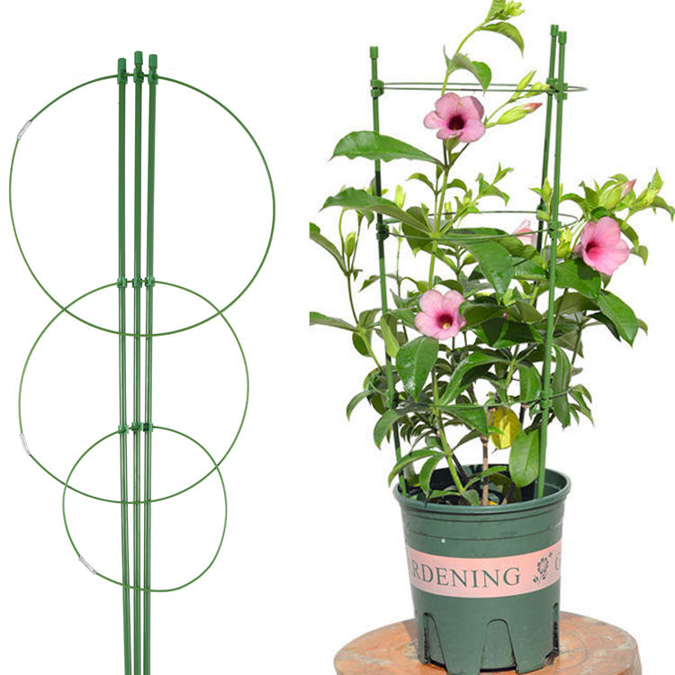 Hot Sale Garden Metal Obelisk Trellis
