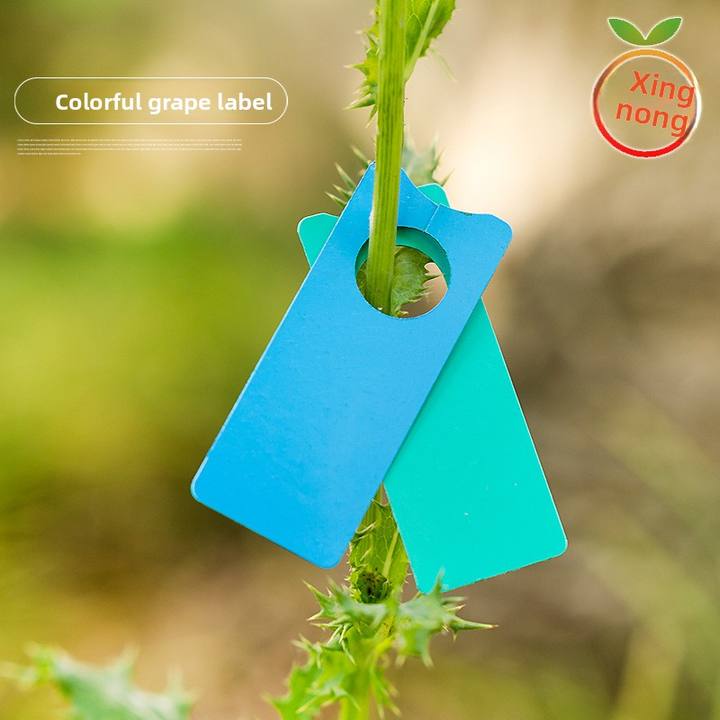 Pvc Sweetness Grading Thickened Grape & Watermelon Melon Color-Coded Batch Card Plant Tag