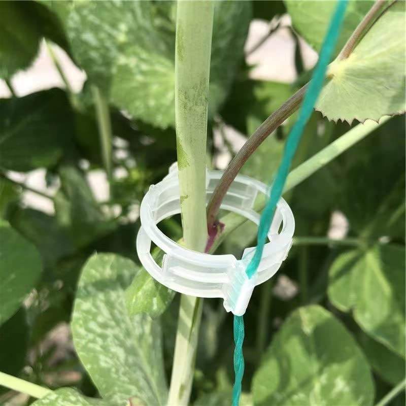 工厂销售免费样品可生物降解PLA番茄植物锁夹，用于固定番茄藤