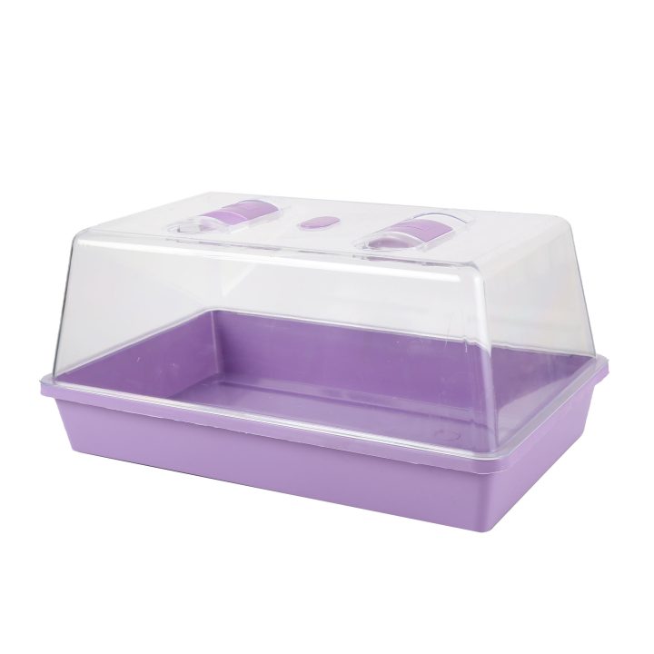 Odm Oem Hot Sale Mini Sprout
