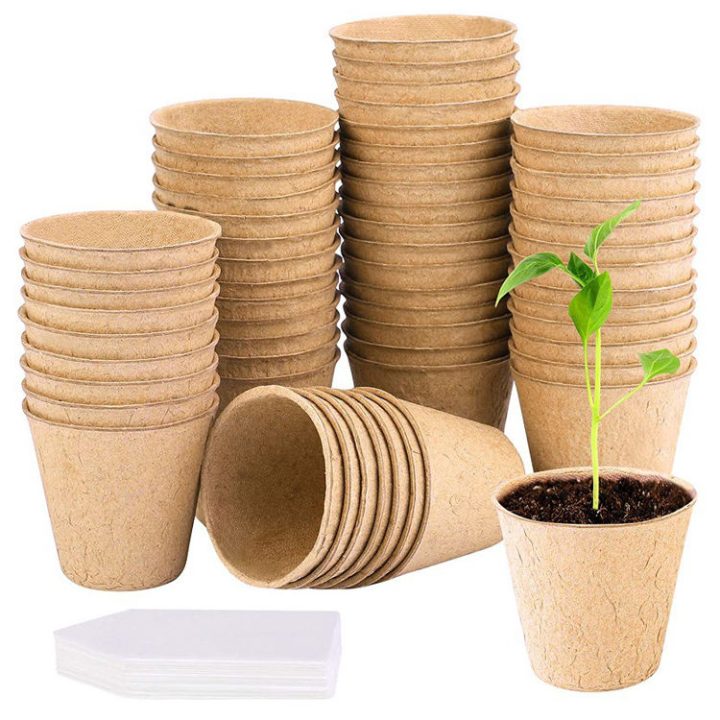 50Pcs Transplant Cup with Plant Labels