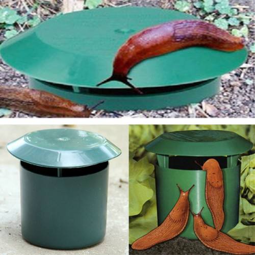 Snail Trap Catcher Eco Friendly Garden