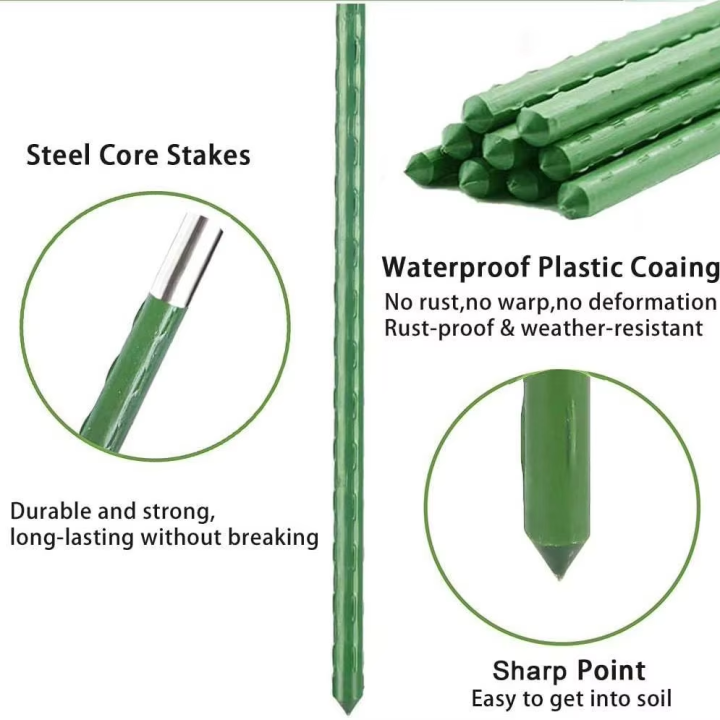 Climbing Plants Coated Steel Metal Support