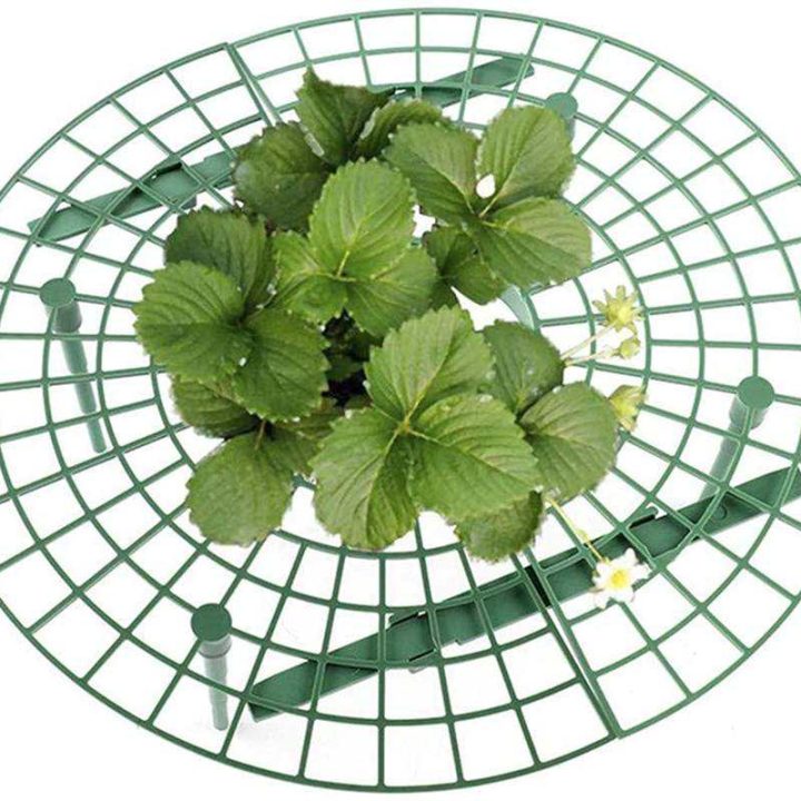 Promotional Quality Strawberry Growth Support Rack