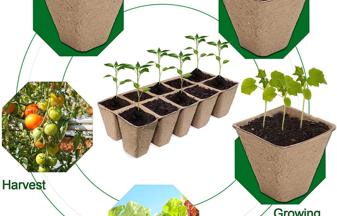 24 Pack Premium Biodegradable Organic Germination