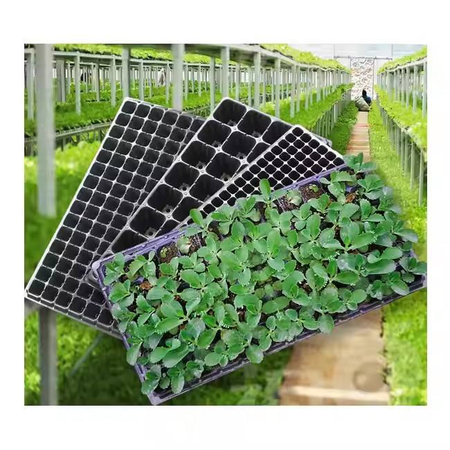 Wholesale Biodegradable Plastic Nursery Tray Reusable