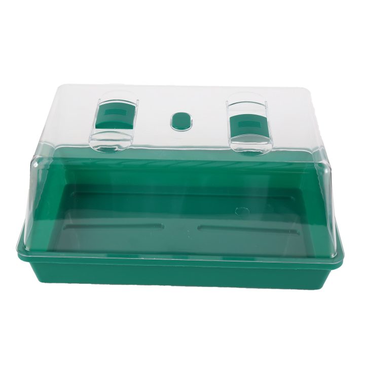 Odm Oem Hot Sale Mini Sprout