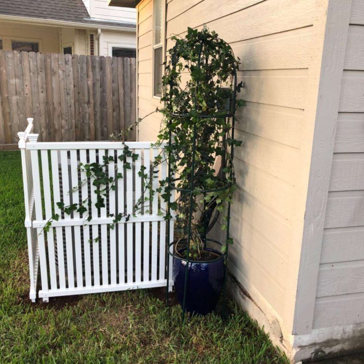 Hot Sale Garden Metal Obelisk Trellis