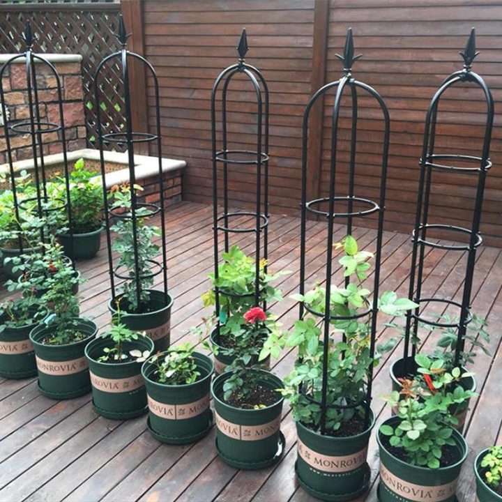 高花园塔格架防锈直径U形中国玫瑰花盆栽植物支架庭院攀爬植物格架