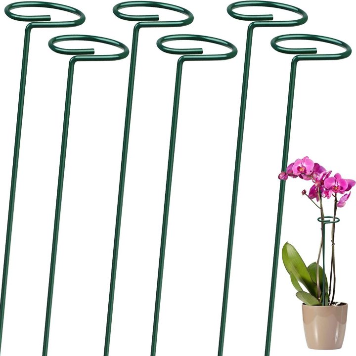 10Pcs Garden Plant Stakes for Flowers