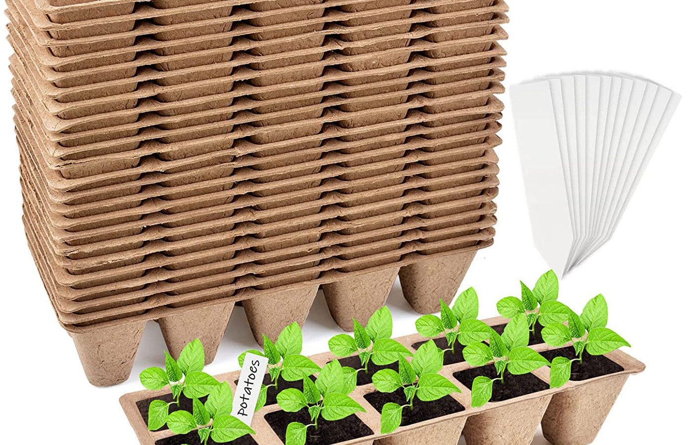 Premium Organic Germination Kit Biodegradable Nursery