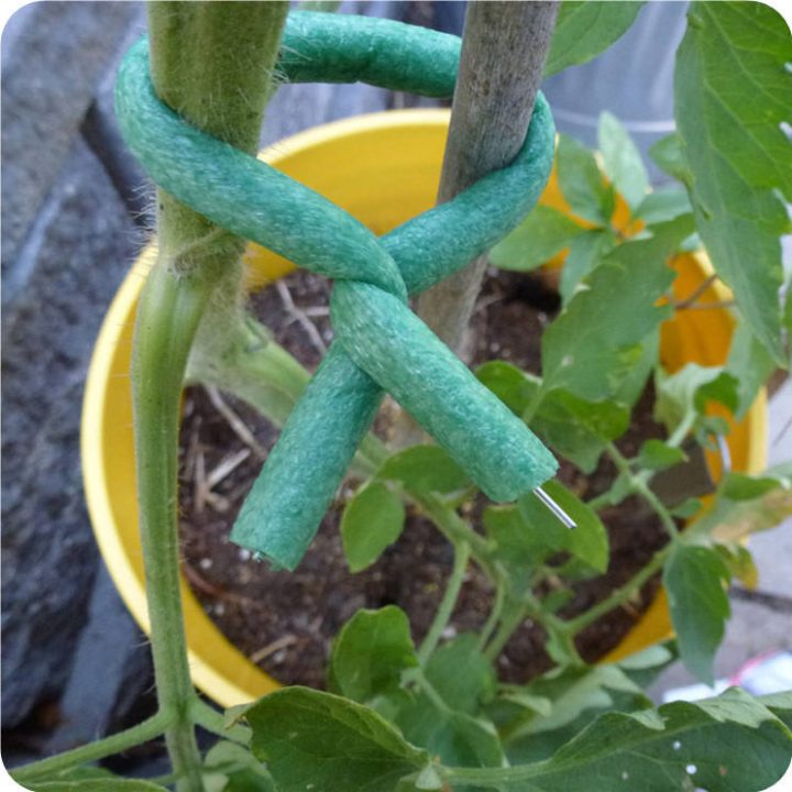 Soft Foam Plant Twist Ties