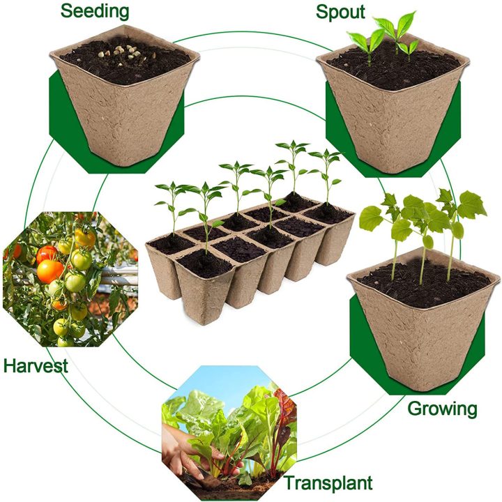 Premium Organic Germination Kit Biodegradable Nursery