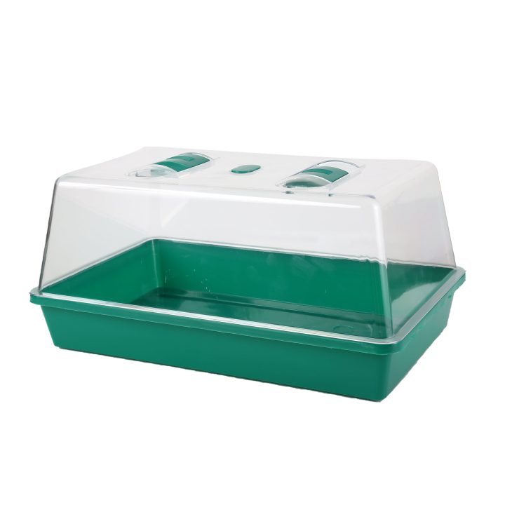 Odm Oem Hot Sale Mini Sprout