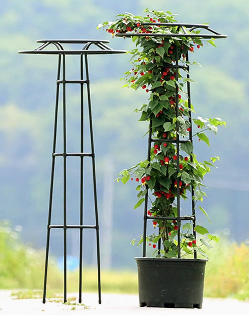 Modern Outdoor Carbon Steel Vine Flower