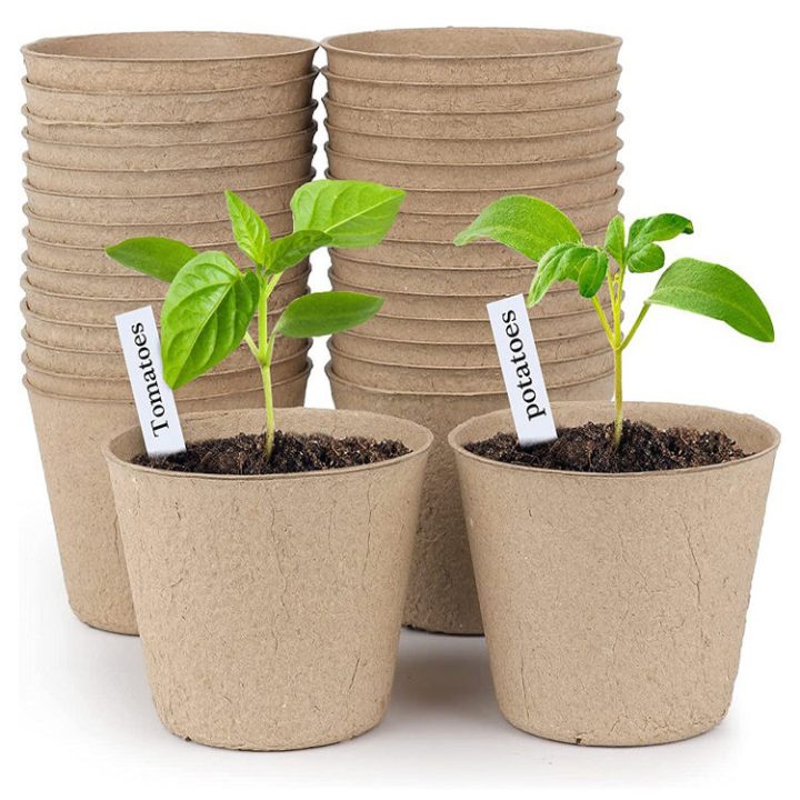 50Pcs Transplant Cup with Plant Labels