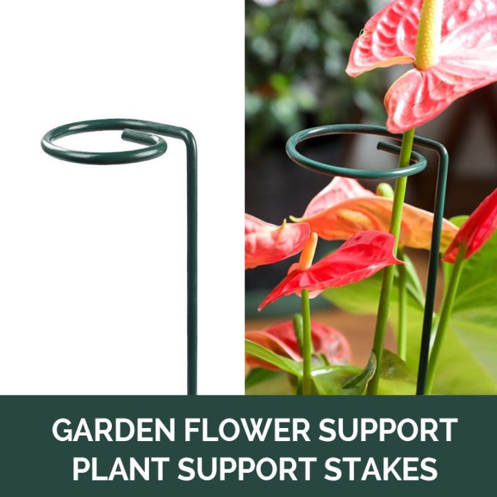 10Pcs Garden Plant Stakes for Flowers