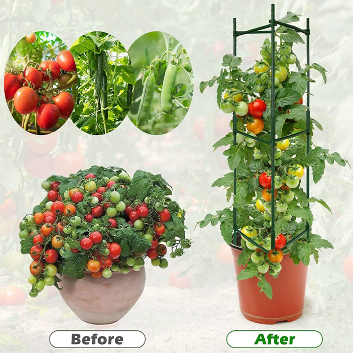 Climbing Plants Coated Steel Metal Support