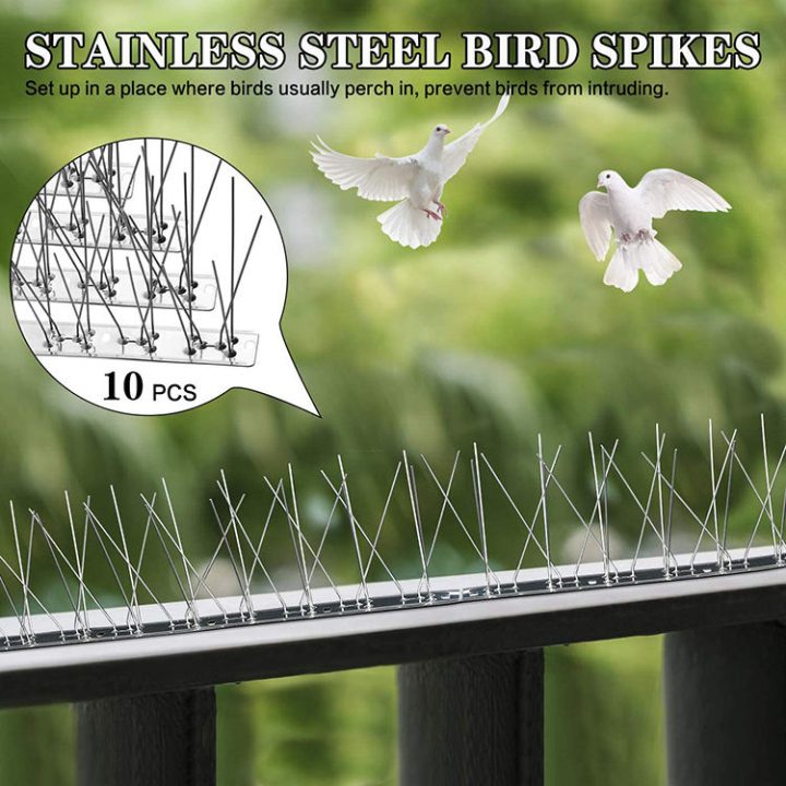 Outdoor Garden Bird Repellent Pest Control